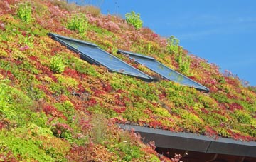 Southcote living roof systems